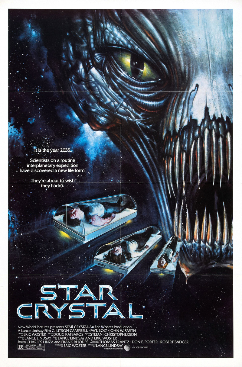 Illustration for article titled Why The 1986 Crap Flick Star Crystal Is Better Than Star Wars and Star Trek Combined